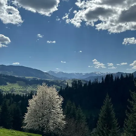 Kaif House кайф хаус афрейм *